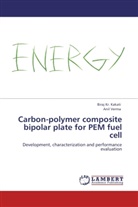 Biraj K Kakati, Biraj Kr Kakati, Biraj Kr. Kakati, Anil Verma - Carbon-polymer composite bipolar plate for PEM fuel cell