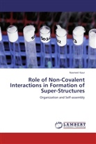 Navneet Kaur - Role of Non-Covalent Interactions in Formation of Super-Structures