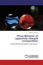 Siddharth Sharma - Phase Behavior of oppositely charged nanoparticles
