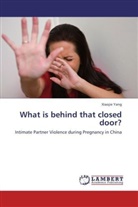 Xiaojie Yang - What is behind that closed door?