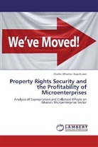 Charles Wharton Kaye-Essien - Property Rights Security and the Profitability of Microenterprises
