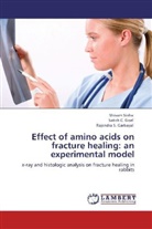 Rajendra S Garbayal, Rajendra S. Garbayal, Satish Goel, Satish C. Goel, Shiva Sinha, Shivam Sinha - Effect of amino acids on fracture healing: an experimental model