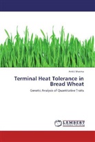 Ankit Sharma - Terminal Heat Tolerance in Bread Wheat