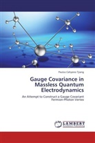 Paulus Cahyono Tjiang - Gauge Covariance in Massless Quantum Electrodynamics