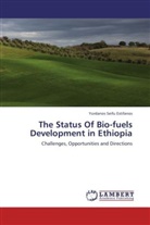 Yordanos Seifu Estifanos - The Status Of Bio-fuels Development in Ethiopia