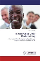 Arinze Udenka - Initial Public Offer Underpricing