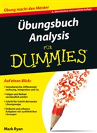 Mark Ryan - Übungsbuch Analysis