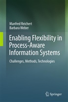 Manfre Reichert, Manfred Reichert, Barbara Weber - Enabling Flexibility in Process-Aware Information Systems