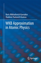 Boris Mikhailovic Karnakov, Boris Mikhailovich Karnakov, Vladimir Pav Krainov, Vladimir Pavlovich Krainov - WKB Approximation in Atomic Physics
