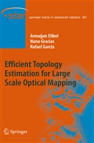 Armaga Elibol, Armagan Elibol, Rafael Garcia, Nun Gracias, Nuno Gracias - Efficient Topology Estimation for Large Scale Optical Mapping