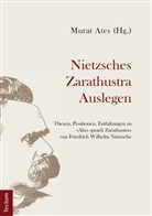 Mura Ates, Murat Ates, Gaia Domenici, Ulrich Alexander Götz, Han, Choong-Su Han... - Nietzsches Zarathustra Auslegen