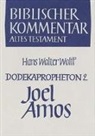Hans Walter Wolff, S Herausgegeben von Herrmann, Siegfried Herrmann, Arndt Meinhold, Werner H. Schmidt, Winfried Thiel... - Dodekapropheton 2. Joel. Amos