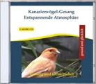 Thomas Rettenmaier - Kanarienvögel-Gesang, Entspannende Atmosphäre, 1 Audio-CD (Hörbuch)