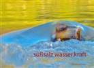 Anna Philomena Stocker, Walte Tockner, Walter Tockner - süßsalz wasser-kraft