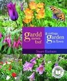 Stuart Blackmore - Gardd Mewn Tref/a Cottage Garden in Town
