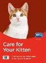 Rspca - Care for Your Kitten