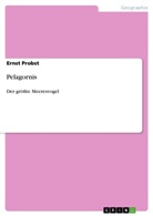 Ernst Probst - Pelagornis