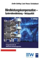 Marti Grosse-Gehling, Martin Große-Gehling, Wolfgan Just, Wolfgang Just, Jürge Reese, Jürgen Reese... - Blindleistungskompensation - Systemdienstleistung - Netzqualität