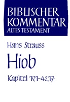 Hans Strauss, Werne H Schmidt, Werner H Schmidt, Werner H Schmidt u a, Siegfr Herausgegeben von Herrmann, Siegfried Herrmann... - Biblischer Kommentar Altes Testament - Bd.16/2: Hiob. Tl.2/1-2