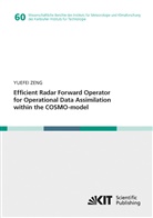 Yuefei Zeng - Efficient Radar Forward Operator for Operational Data Assimilation within the COSMO-model