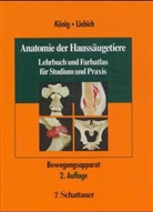 Horst E. König, HANS-GEORG LIEBICH - Anatomie der Haussäugetiere - Bd.1: Bewegungsapparat