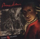 Amadeus - Saladin, 1 Audio-CD (Audio book)