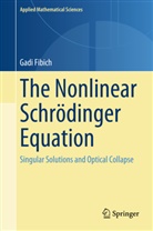 Gadi Fibich - The Nonlinear Schrödinger Equation