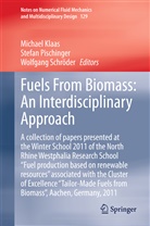 Michael Klaas, Stefa Pischinger, Stefan Pischinger, Wolfgang Schröder - Fuels From Biomass: An Interdisciplinary Approach