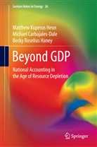 Michae Carbajales-Dale, Michael Carbajales-Dale, Michael Dale, Han, Becky Roselius Haney, Matthew Kuperu Heun... - Beyond GDP