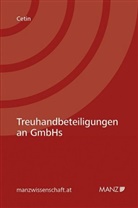 Merve Cetin - Treuhandbeteiligungen an GmbHs