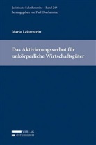 Mario Leistentritt - Das Aktivierungsverbot für unkörperliche Wirtschaftsgüter