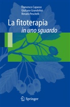 9788847008243, Francesco Capasso, Giuliano Grandolini, Renato Pescitelli - La fitoterapia in uno sguardo