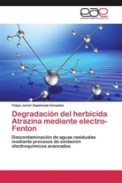 Felipe Javier Sepúlveda González - Degradación del herbicida Atrazina mediante electro-Fenton