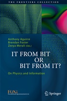 Anthony Aguirre, Brenda Foster, Brendan Foster, Zeeya Merali - It From Bit or Bit From It?