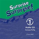 Surprise Surprise!: 1: Class Audio CD (Audio book)