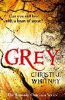 Christi Whitney, Christi J Whitney, Christi J. Whitney, Whitney Christi J. - The Romany Outcasts Series