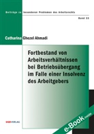 Catharina Ghezel Ahmadi - Fortbestand von Arbeitsverhältnissen bei Betriebsübergang im Falle einer Insolvenz des Arbeitgebers (f. Österreich)