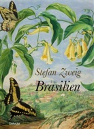 Stefan Zweig - Brasilien