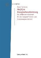 Peter Hennicke - Wa(h)re Energiedienstleistung