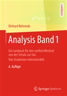 Ehrhard Behrends - Analysis. Bd.1