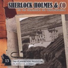 Jacques Futrelle - Sherlock Holmes & Co - Das flammende Phantom, Audio-CD (Hörbuch)