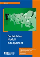 Martin Schmitt - Betriebliches Notfallmanagement, m. CD-ROM