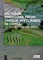 Hua Chen, Huai Chen, Changhui Peng, Changhui et al Peng, Yanfen Wang, Nin Wu... - Methane Emissions from Unique Wetlands in China