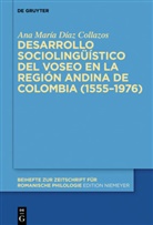 Ana María Díaz Collazos - Desarrollo sociolingüístico del voseo en la región andina de Colombia (1555-1976)