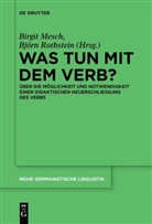 Birgi Mesch, Birgit Mesch, Rothstein, Rothstein, Björn Rothstein - Was tun mit dem Verb?