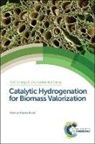 Roberto Rinaldi, Roberto (Imperial College London Rinaldi, Laurie Peter, Roberto Rinaldi, Roberto (Imperial College London Rinaldi - Catalytic Hydrogenation for Biomass Valorization