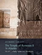 Ogden Goelet, Sameh Iskander - The Temple of Ramesses II in Abydos: Volume 2, Pillars, Miscellany, and Inscriptions