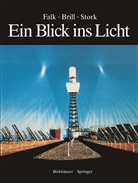 Dieter Brill, Dieter R Brill, Dieter R. Brill, David Falk, David S Falk, David S. Falk... - Ein Blick ins Licht