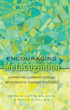 Shelia A Hillwig, Shelia A. Hillwig, Patricia Liott Kolencik, Patricia Liotta Kolencik - Encouraging Metacognition
