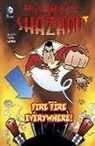Art Baltazar, Byron Vaughns, Byron Vaughns - Fire Fire Everywhere!